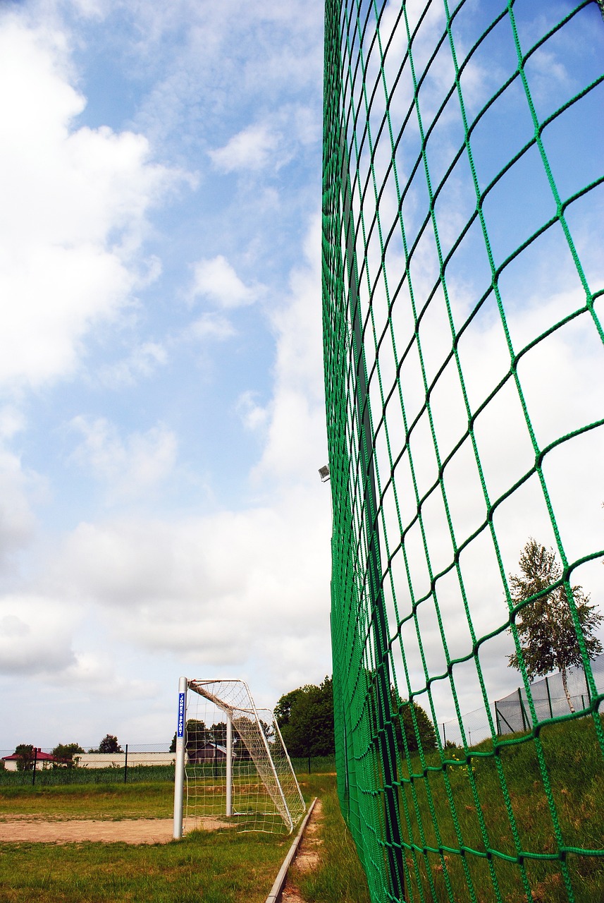 [冰雪]洛伊克·迈拉德收获高山滑雪世锦赛男子回转冠军.