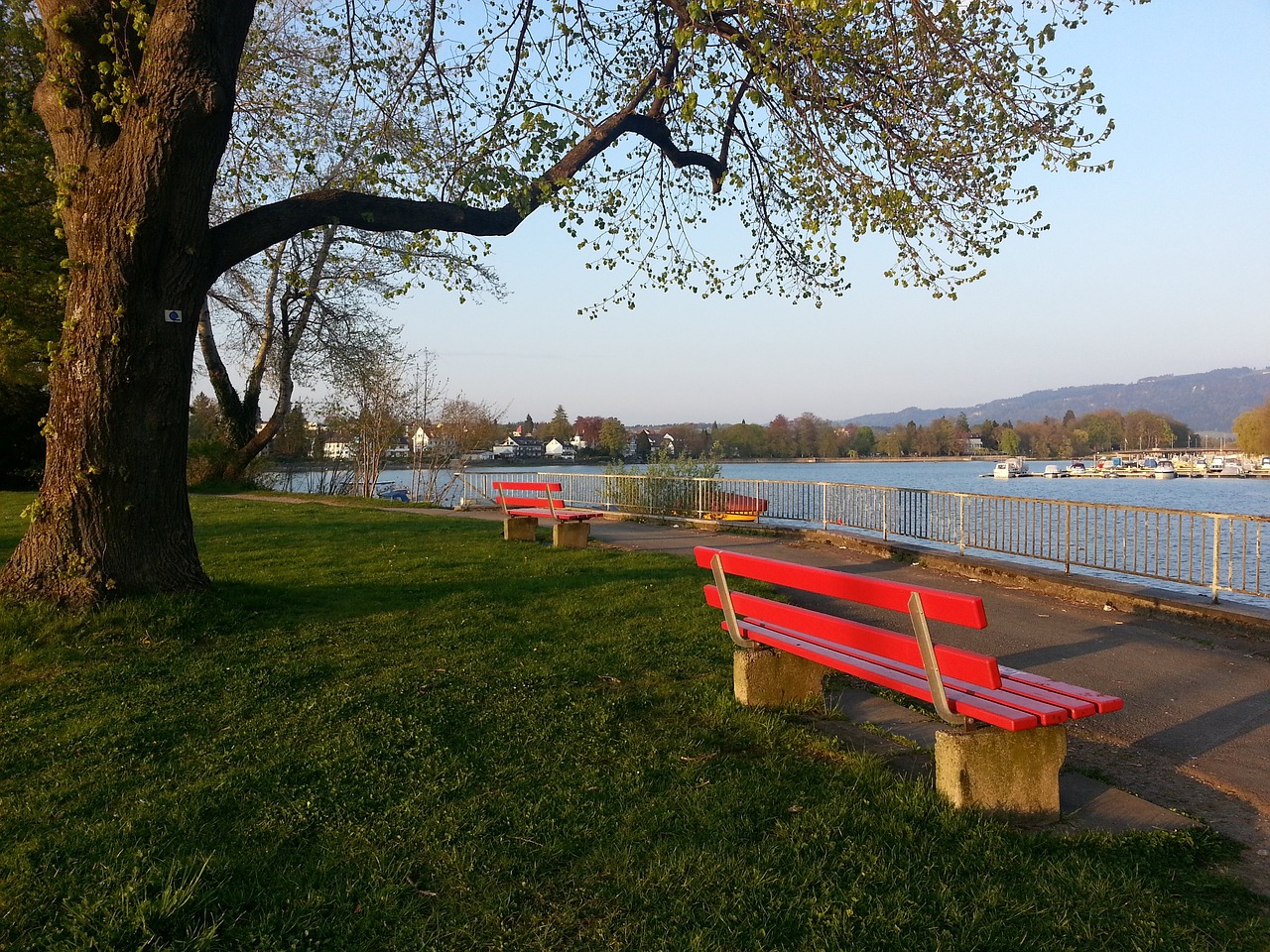 內馬爾受傷:巴西球迷反應紛歧!.